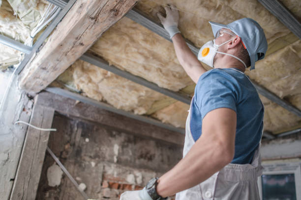 Best Insulation Maintenance and Repair in New Haven, MI